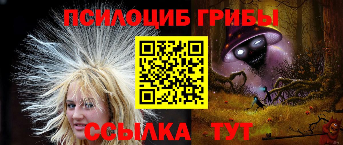 Псилоцибиновые грибы Cubensis Партизанск