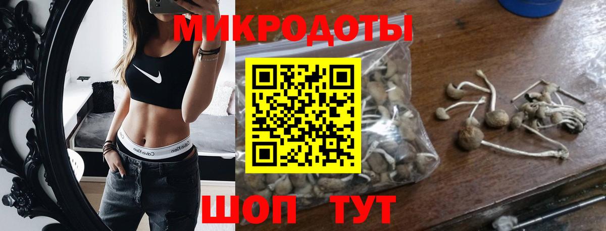 Псилоцибиновые грибы Cubensis  Вход с VPN  Партизанск 
